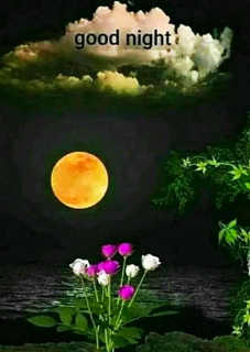 Good Night Flowers